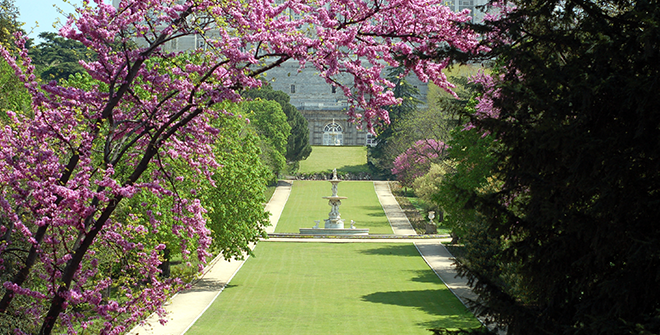 IMAGEN La Galería es un Jardín