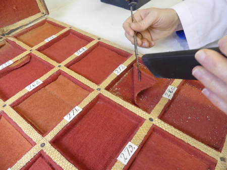 Proceso de limpieza