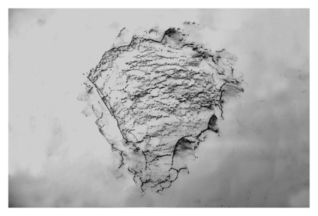 Asunción Molinos Gordo. FITH DRAWING, 2024