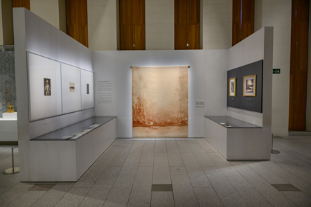 Instalación en sala de Tropologías I. Untitled II, 2013 © Andrés Pachón. Foto: © Javier Díez de Prado