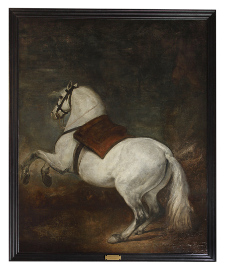 Caballo blanco