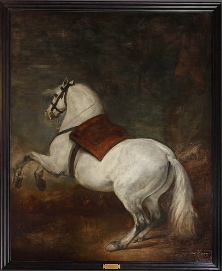 Imagen sobre: Caballo blanco