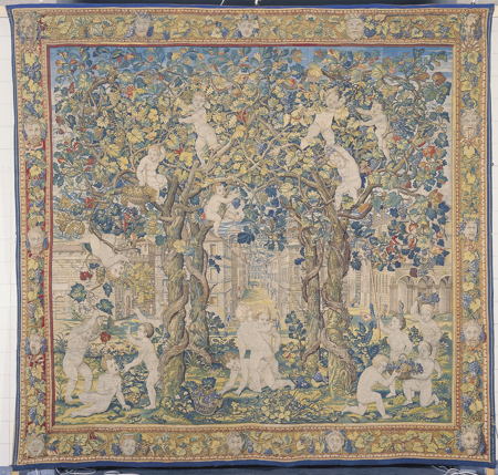 Emparrados y niños cogiendo uvas